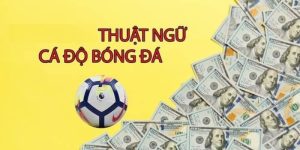 Khái niệm về thuật ngữ cá độ bóng đá Jun88